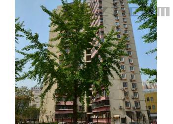 五朵金花写字楼