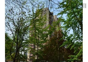 五朵金花写字楼